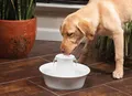 PetSafe Trinkbrunnen Avalon   Hund Katze Trinknapf