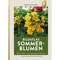 Sommerblumen Beet-, Balkon- und Herbstzauberpflanzen