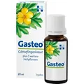 Gasteo Tropfen zum Einnehmen 20 ml