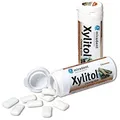 12x Xylitol Chewing Gum Zahnpflegekaugummis 30 Stück Dose zimt 12x 30g