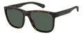 Polaroid Sonnenbrille PLD 2155/S  HGC/UC Havana Grün Herren