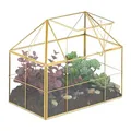 Relaxdays Pflanzenterrarium, Glas & Kupfer, HBT: 21x23x14 cm, Deko Glashaus Kakteen & Moos, Glaskasten Fensterbank, gold