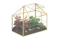 relaxdays Gewächshaus Pflanzenterrarium aus Glas Hausform, 1-St., Gold