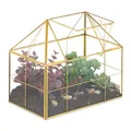 Pflanzenterrarium Florarium Deko Glashaus Indoor Gewächshaus Hydrokultur Glas