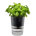 GEFU 18920 Kräutertopf Botanico