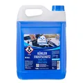 ROBBYROB R11, für Benzin- und Dieselmotoren Kühlerfrostschutz 5 l, 1 St.
