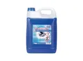 Robbyrob Kühlerfrostschutz R11 blau 5 Liter ; Walter Schmidt Chemie GmbH (8105000000)