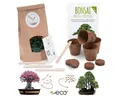 HappySeed Blumensamen Bonsai Anzuchtset inkl. eBook - Pflanzset mit Wüstenrose + Mammutbaum, Bonsai