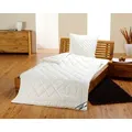 Frankenstolz »kbA Baumwolle« Bettdecken Vierjahreszeiten-Steppbett / 155x220 cm / 1200/800g