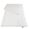 fan Vierjahreszeiten-Bettdecke kbA Baumwolle Steppbett Größe 135x200 cm
