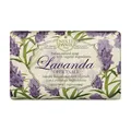 Nesti Dante Lavenda Officinale regenerating (Seife 150 g, Unisex, für alle Hauttypen geeignet) 3800155
