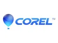Corel PaintShop Pro 2023 - Lizenz - 1 Benutzer - ESD - Win - Multi-Lingual