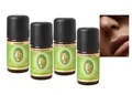 Primavera Riechtraining Set 4 ätherische Öle Aufbauset 100% naturreine Qualität