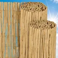 Sol Royal Schilfmatten Sichtschutz Zaun 100x300 cm SolVision S36 – langlebiger & witterungsbeständiger 100% Schilfrohrmatte Indoor & Outdoor für Balkon, Terrasse, Garten – Windschutz & Sonnenschutz