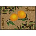 Wash+Dry Fussmatte waschbar Le Citron 50 x 75 cm