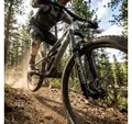 RockShox Federgabel Federgabel RS.Domain Gold Isolator RC3 29",15x110mm,170mm,sw,44offset