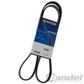 DAYCO KEILRIPPENRIEMEN 4PK668 für ABARTH 500 500C GRANDE PUNTO ALFA ROMEO MITO