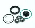Membranen Dichtung Reparatur Opel 2.2 Direct Hochdruckpumpe Z22YH Benzin