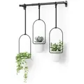 umbra Hängeblumentopf in Schwarz - (B)63,5 x (H)110 x (T)14,6 cm