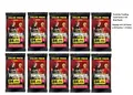 Fortnite Trading Cards Serie 2: US FAT PACK DISPLAY BOX | 10 Packs = 240 Karten