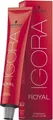  IGORA Royal Haarfarbe Farbton 8-0 Light Blonde Natural 60 ml