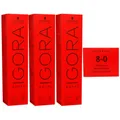 Schwarzkopf Igora Royal 3 x 60 ml 8-0 hellblond Haarfarbe Cremefarbe Set