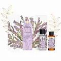 Yves Rocher - ESSENCES BOTANIQUES – Geschenkset Parfum – Ein Ausflug in die Gelassenheit – Eau de Parfum 50ml & Massageöl 50ml (Calme Absolu)
