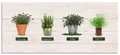 Küchenrückwand "Lavendel Salbei Thymian Rosmarin Kräuter", (1 tlg.), Alu Spritzschutz mit Klebeband, einfache Montage naturfarben B/H: 150 cm"x"65 cm