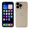 Apple iPhone 13 Pro 256 GB Gold Neuwertig Hervorragend (Ohne Simlock)