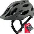 Alpina CARAPAX 2.0 coffee-grey matt 57-62 cm