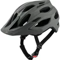 Alpina Carapax 2.0 Fahrradhelm (Größe 57-62cm, grau)