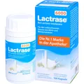 LACTRASE 6.000 FCC Kapseln 100 St PZN09545296