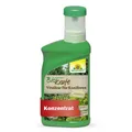 NEUDORFF BioKraft Vitalkur für Koniferen 300 ml Koniferendünger Thuja Immergrüne