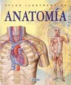 Atlas Ilustrado de Anatomia = Atlas Illustration of... | Buch | Zustand sehr gut