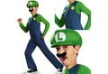 Disguise Kostüm Nintendo Super Mario Brothers Luigi Classic Kostüm, Hut & Schnauzbart, Luigi-Kostüm mit Hut und Schnurrbart für fantasievolle Abenteuer