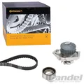 CONTINENTAL CONTITECH ZAHNRIEMEN-SATZ + WASSERPUMPE passend für FIAT PALIO PUNTO
