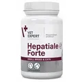VETEXPERT Hepatiale Forte Kleine Rassen & Katzen 40 Kapseln.