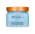 Tree Hut Körperpflegemittel Ocean Glow Zuckerpeeling 510 g
