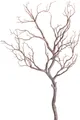 Botanic-Haus Kunstzweig "Deko-Ast", braun, Ø/H: 36cm x 96cm, 1 Stk.