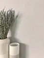 Newroom Vliestapete, Grau Tapete Modern Unifarbe - Universal Einfarbig Hellgrau Lichtgrau Uni Struktur Monochrom für Wohnzimmer Schlafzimmer Küche, Paraiso Uni Grey