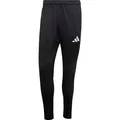 Adidas Entrada Trainingshose (L) (ADIKE9848_000)