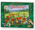 Schipper 609130824 - Malen nach Zahlen - Blumenwiese - Neu
