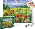 SCHIPPER - 609130824 - MALEN NACH ZAHLEN - BLUMENWIESE # NEU OVP