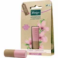 KNEIPP Lippenpflege Hautzart Mandel Candelilla 1 St PZN14184908