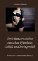 Drei Pastorentöchter zwischen Pfarrhaus, Schule und Swingerclub: Erotischer Liebesroman (Band 3)