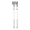 LEKI Skyterra FX Carbon SL