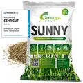 Greenyp® Sunny I Dürreresistenter Trockenrasen I 0,2kg für 10m² I Grassamen Rasensamen Rasensaat Gras Nachsaat schnellkeimend
