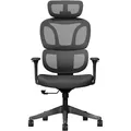 FlexiSpot Bürostuhl BS5B, schwarz, Stoff / Netz, mit Kopfstütze, bis 136 kg