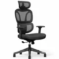 Ergonomischer Bürostuhl BS5BB schwarz, verstellbare Armlehnen, schwarz - A