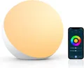 Smart LED Tischlampe Alexa Google Assistant Touch Dimmbar RGB Farbwechsel